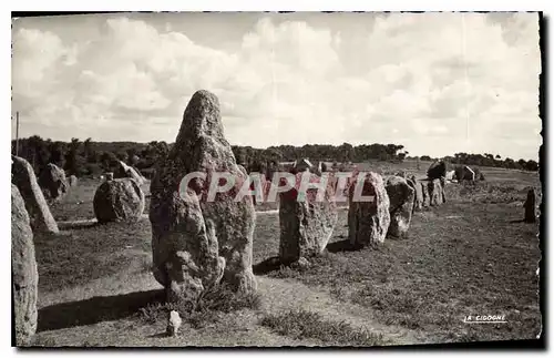 Cartes postales Carnac Morbihan Alignements megalithiques de Kermario