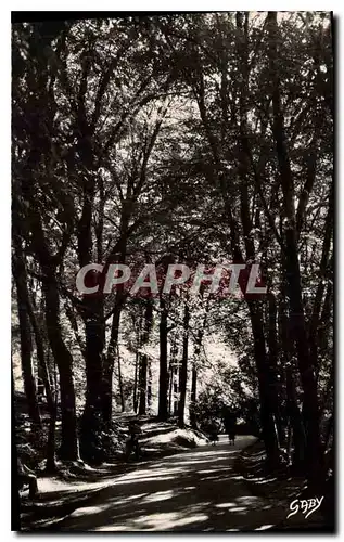 Cartes postales Bagnoles de l'Orne Orne Allee du Dante