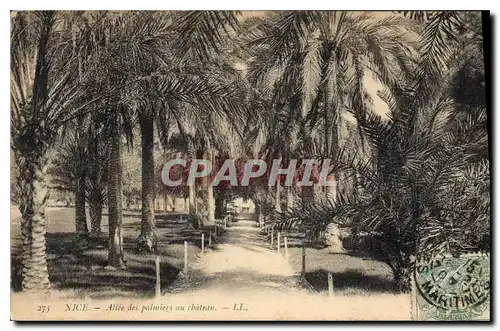 Cartes postales Nice Allee des palmiers au Chateau