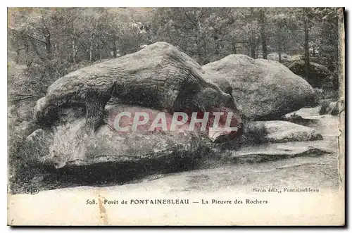 Ansichtskarte AK Foret de Fontainebleau la Pieuvre des Rochers