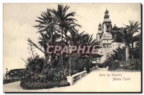 Cartes postales Monte Carlo dans les Palmiers