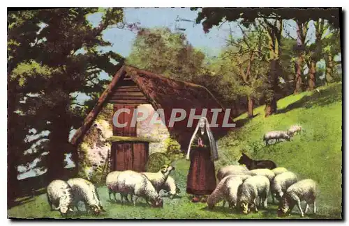 Cartes postales Sainte Bernadette a Bartres pris en Gardant ses Moutons