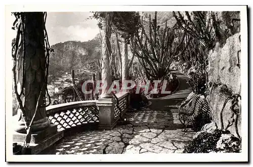 Cartes postales Monaco le jardin Exotiquie