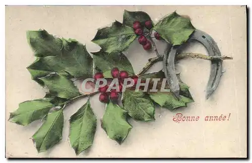 Cartes postales Bonne Annee Fer a cheval