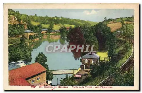 Cartes postales Environs de Limoges Vallee de la Vienne Aux Paquerettes