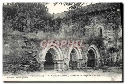 Cartes postales Haute Vienne St Leonard Ruines de l'Abbaye de l'Artige