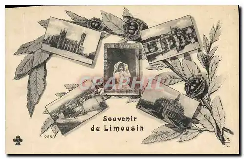 Ansichtskarte AK Souvenir de Limousin