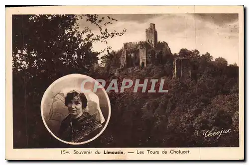 Cartes postales Souvenir du Limousin Les Tours de Chalucet