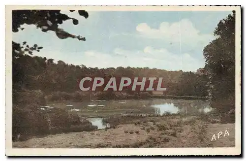 Cartes postales Bonnac la Cote H V Etang de Leychoisier