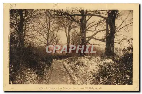 Cartes postales L'Hiver Un Sentier dans une Chataigneraie Limousin