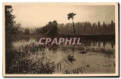 Cartes postales La Region du Limousin Etude de Paysage sur les bords de la Dordogne