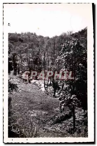 Ansichtskarte AK Environs de St Sulpice les Feuilles H V Vallee de la Benaize