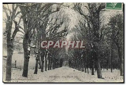 Cartes postales Dourdan Une Allee du parc