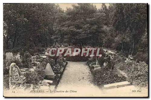 Cartes postales Asnieres Le Cimetiere des Chiens