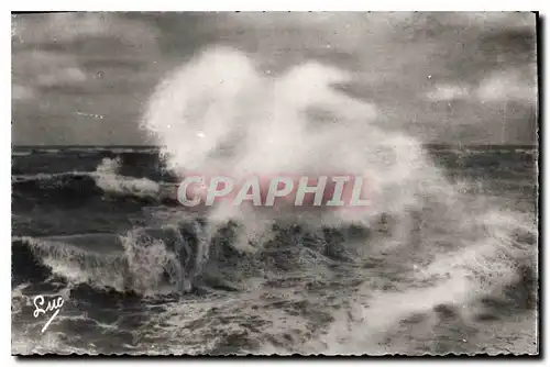 Cartes postales La Cote D'Opale Berck Plage P de C