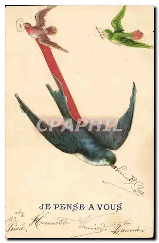 Cartes postales Je Pense a Vous Oiseaux