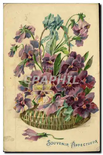 Cartes postales Souvenir Affectueux Fleurs