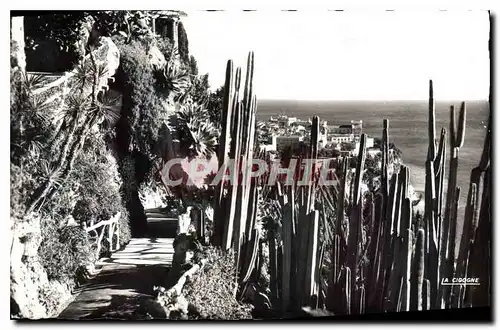 Ansichtskarte AK Principaute de Monaco Le Jardin Exotique et vue sur le Rocher