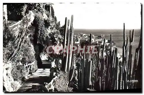 Cartes postales Principaute de Monaco Le Jardin Exotique et vue sur le Rocher