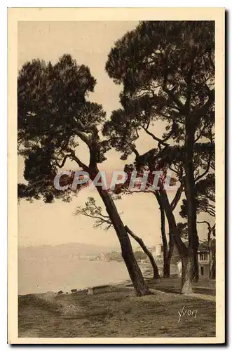 Cartes postales Juan les Pins