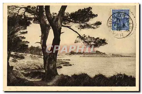 Cartes postales Les Iles d'Hyeres Var Porquerolles Bord de Mer