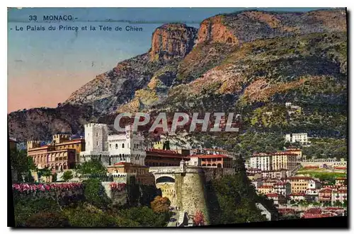 Cartes postales Monaco Le Palais du Prince et la Tete de Chien