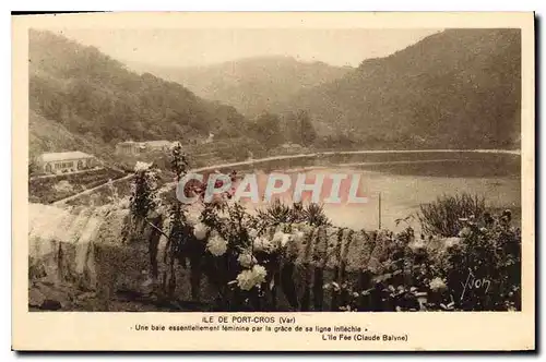 Cartes postales Ile de Port Cros Var Une baie essenrielement terminaine pal la grace de sa ligne inflechie Claud