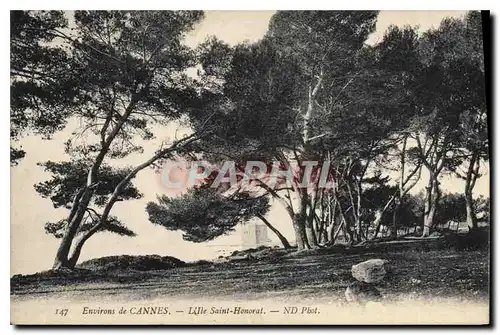 Cartes postales Environs de Cannes Lille Saint Honorat