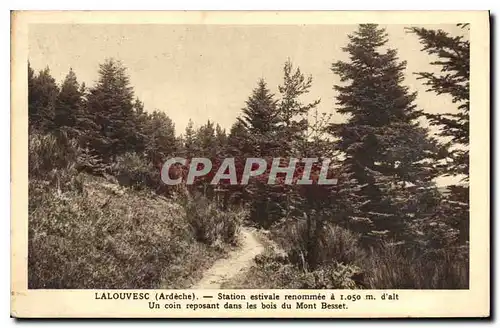 Cartes postales Lalouvesc Ardeche Station estivale Un coin reposant dans les bois du Mont Besset