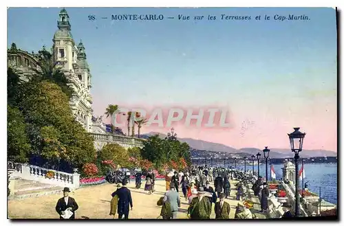 Cartes postales Monte carlo vue sur les terrasses et le Cap Martin