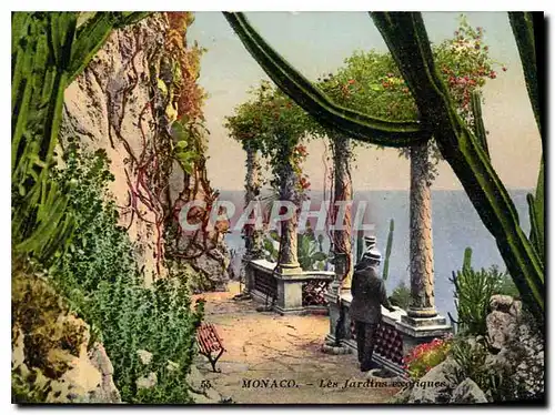 Cartes postales Monaco les jardins exotiques