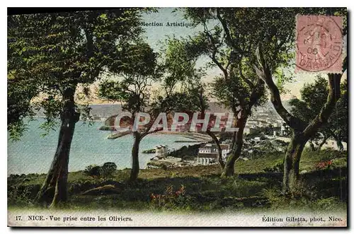 Cartes postales Nice Vue prise entre les Olivers