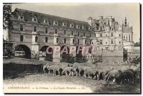 Ansichtskarte AK Chenonceaux Le Chateau La Facade Orientale Berger Moutons