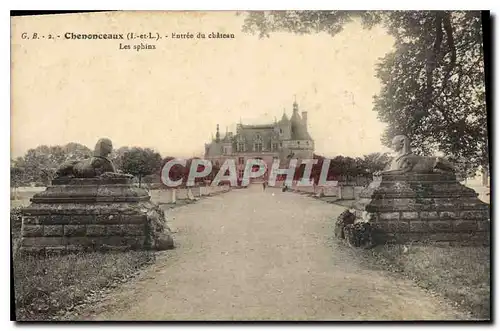 Ansichtskarte AK Chenonceaux I et L Entree du chateau Les sphinx