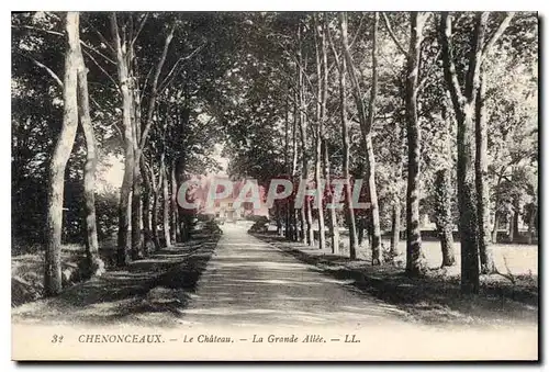 Ansichtskarte AK Chenonceaux Le Chateau La Grande Allee