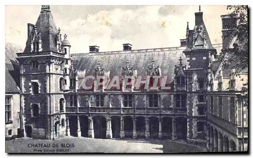 Cartes postales Chateau de Blois