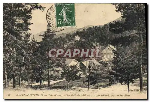 Cartes postales Alpes Maritimes Peira Cava Station Estivale vue sur les Alpes