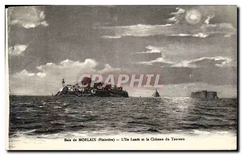 Ansichtskarte AK Baie de Morlaix Finistere L'Ile Louet et le Chateau du Taureau