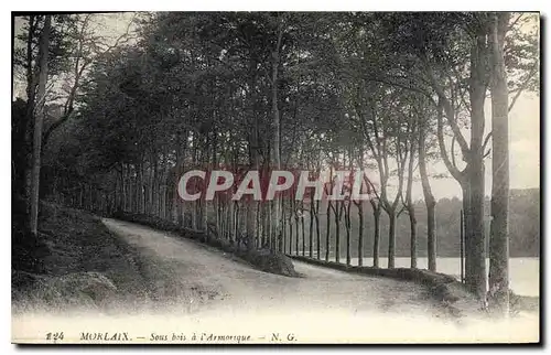 Cartes postales Morlaix Sous bois a l'Armorique