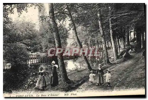 Cartes postales Pont Aven le Bois d'Amour