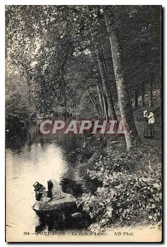 Cartes postales Pont Aven Le Bois d'Amour