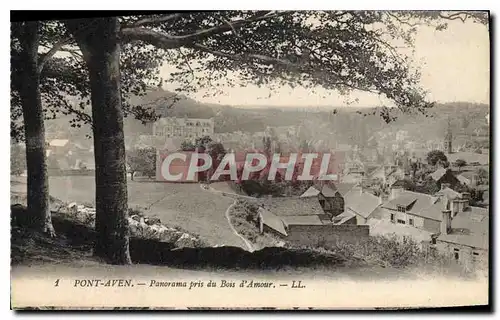 Cartes postales Pont Aven Panorama pris du Bois d'Amour