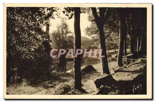 Ansichtskarte AK Pont Aven Finistere l'Aven au Bois d'Amour