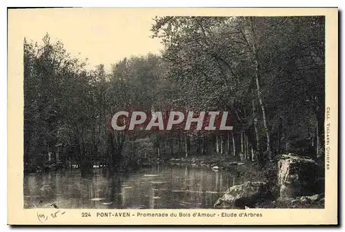 Ansichtskarte AK Pont Aven Promenade du Bois d'Amour Etude d'Arbres