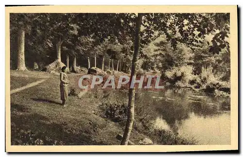 Cartes postales Pont Aven Le Bois d'Amour