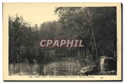 Ansichtskarte AK Pont Aven Promenade du Bois d'Amour Etude d'Arbres