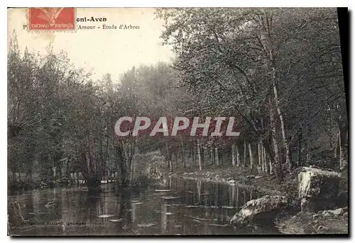 Cartes postales Pont Aven Etude d'Arbres