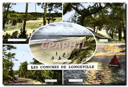 Cartes postales Les Conches de Longeville Plage Camping Fief Benain La foret Coucher de soleil Dans les pins