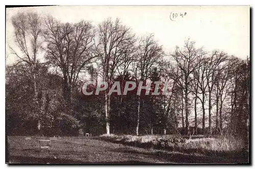 Cartes postales Chateau de Puy Sec par St Martin de Fraigneai Vendee un coin du Parc