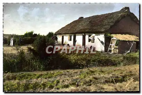 Cartes postales Une Bourine du Marais de Monts Vendee